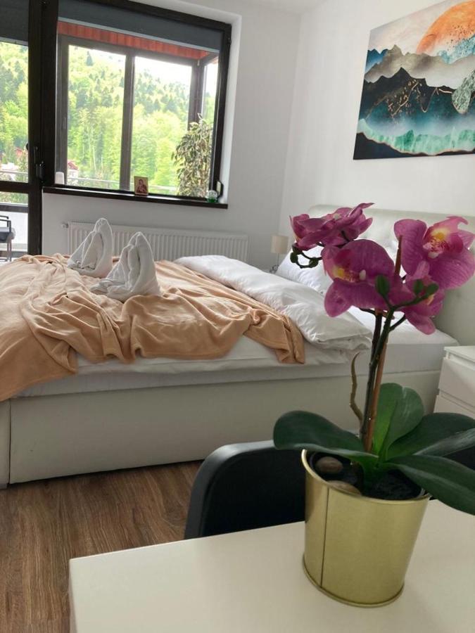 Best View Ap With Parking And 2 Bathrooms 锡纳亚 外观 照片