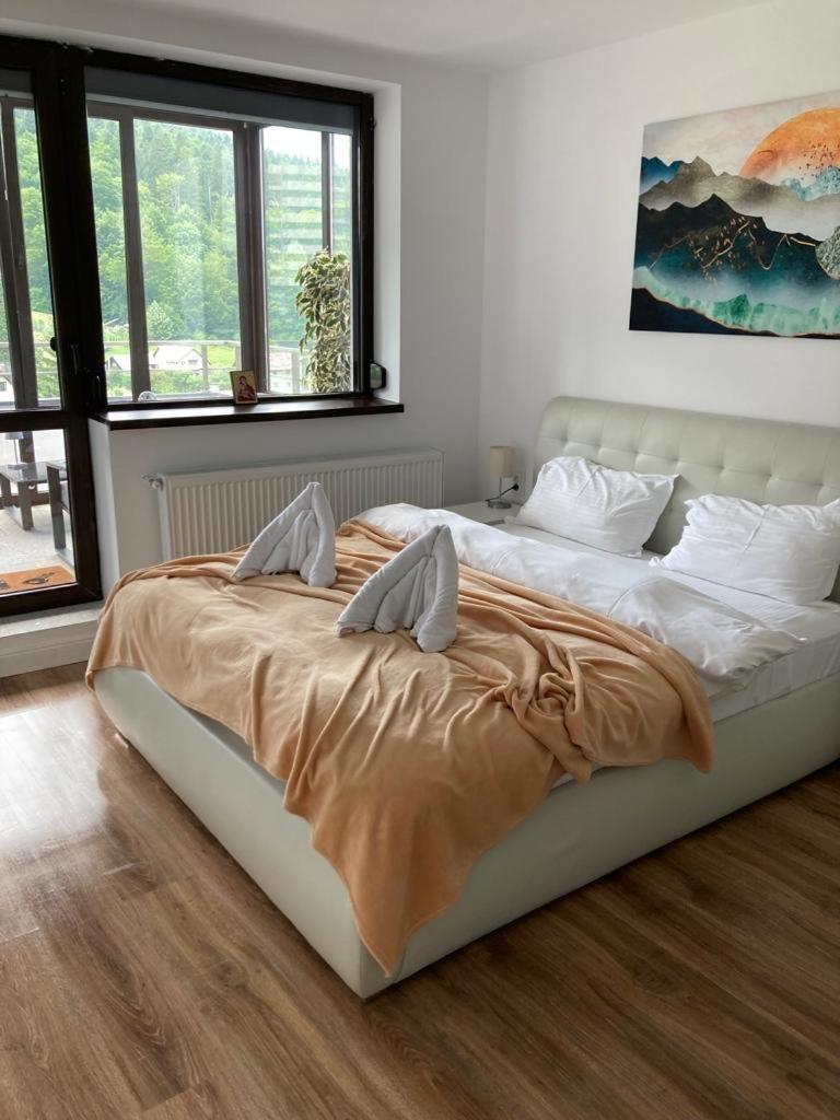 Best View Ap With Parking And 2 Bathrooms 锡纳亚 外观 照片